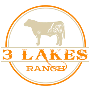 3LR_Logo_Transparent